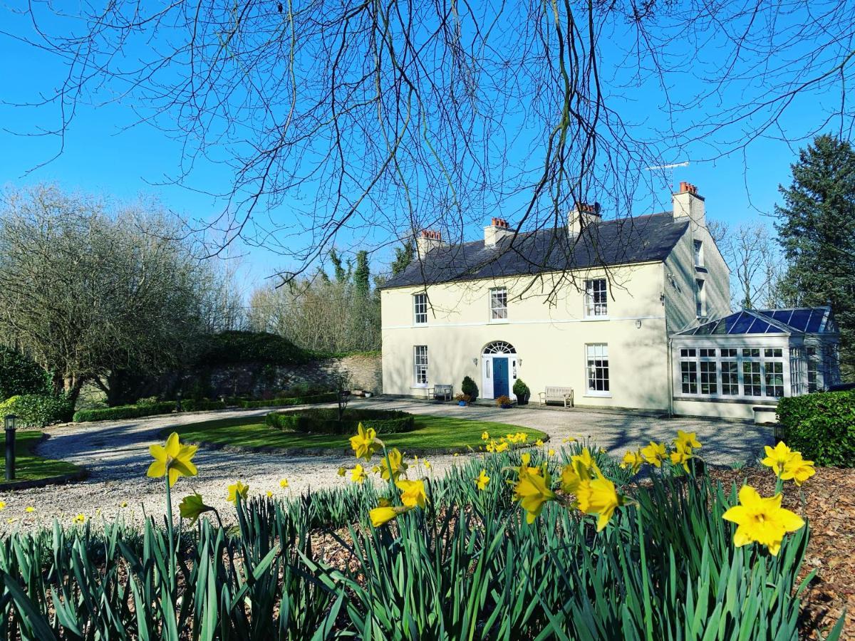 Larchmount House B&B Londonderry Esterno foto