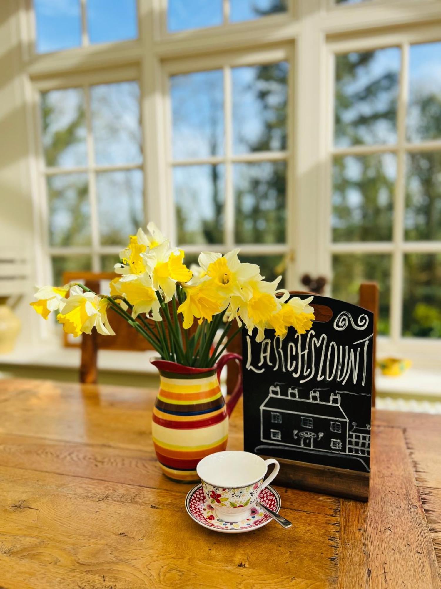 Larchmount House B&B Londonderry Esterno foto